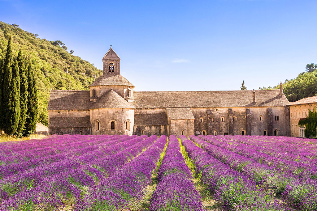 Abbaye-Senanque-Luberon