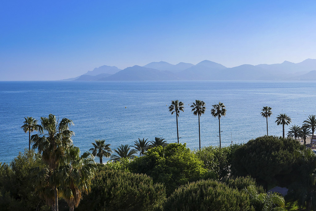 Bonnes adresses Cannes